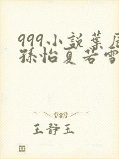 999小说叶辰孙怡夏若雪封面
