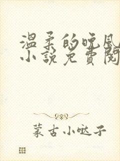温柔的晚风老佟小说免费阅读