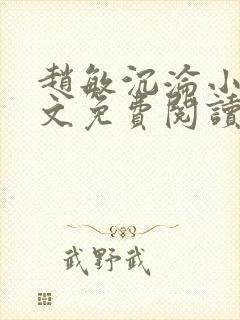 赵敏沉沦小说全文免费阅读最新章节封面