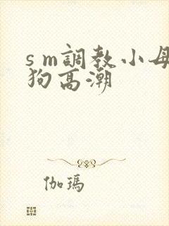 s m调教小母狗高潮