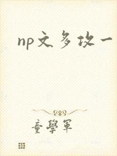 np文多攻一受封面