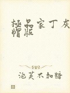 极品家丁灰色绿帽版