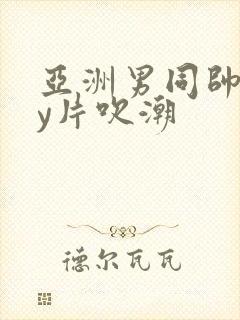 亚洲男同帅gay片吹潮