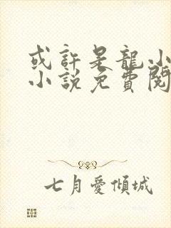 或许是龙小姐吗小说免费阅读封面