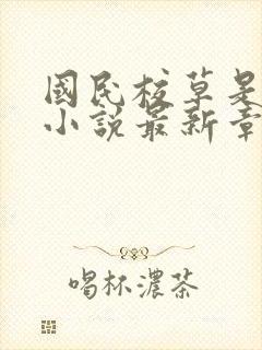 国民校草是女生小说最新章节封面