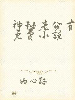 神秘老公有点坏免费小说