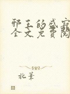 邪王的盛宠娇妃全文免费阅读