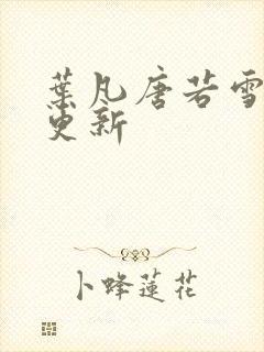 叶凡唐若雪章节更新封面