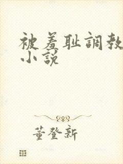 被羞耻调教sm小说封面