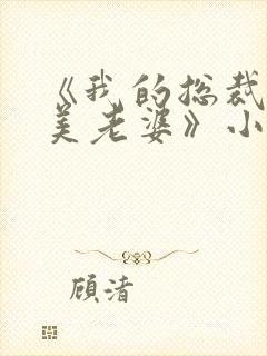 《我的总裁白富美老婆》小说封面