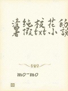 清纯校花的农村暑假txt小说免费阅读