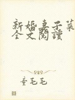 新婚妻子菜老板全文阅读