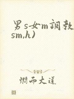 男s女m调教(sm,h)