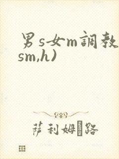 男s女m调教(sm,h)