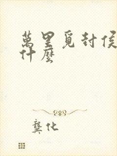 万里觅封侯讲的什么封面