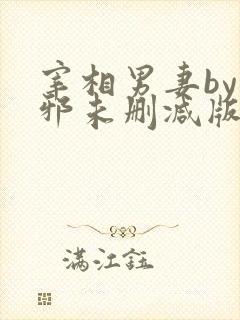 宰相男妻by莫邪未删减版