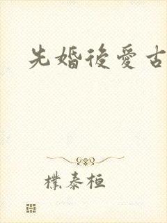 先婚后爱古言h