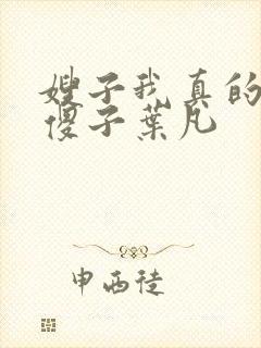 嫂子我真的不是傻子叶凡