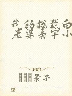 我的总裁白富美老婆秦宇小说全本txt