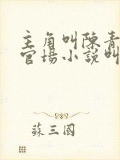 主角叫陈青云的官场小说叫什么名字