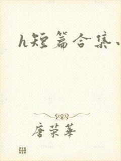 h短篇合集小说封面