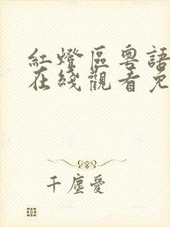 红灯区粤语港剧在线观看免费播放