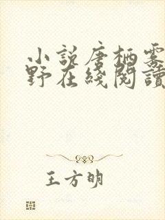 小说唐栖雾靳沉野在线阅读