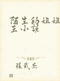 陌生的姐姐双女主小说