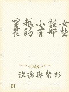 穿越小说女主姓花的有哪些封面