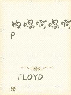 肉嗯啊嗯啊高np