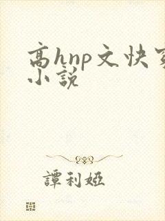 高hnp文快穿小说