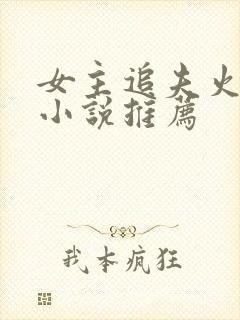 女主追夫火葬场小说推荐