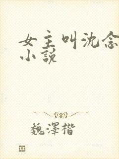 女主叫沈念初的小说