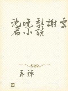 沈晚梨谢云迟叶希小说封面