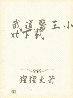 武道医王小说txt下载