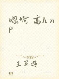 嗯啊 高h np
