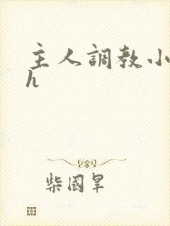 主人调教小说高h