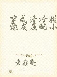 穿成清冷权臣的炮灰原配小说封面