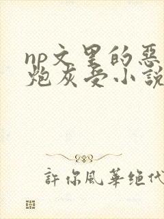 np文里的恶毒炮灰受小说