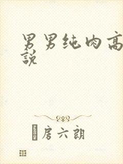 男男纯肉高被小说封面
