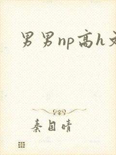 男男np高h文