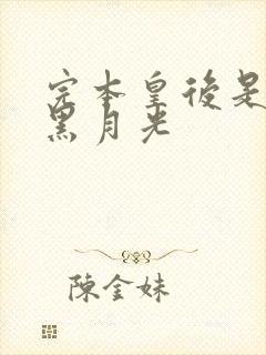 完本皇后是朕的黑月光