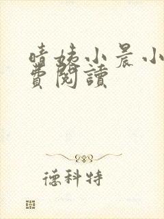 晴姨小晨小说免费阅读