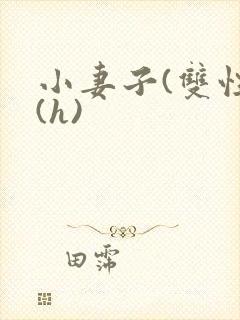 小妻子(双性)(h)封面