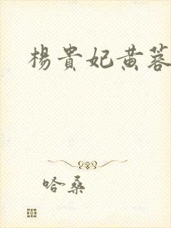 杨贵妃黄蓉三级