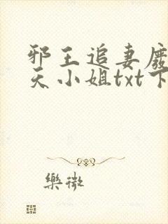 邪王追妻废材逆天小姐txt下载