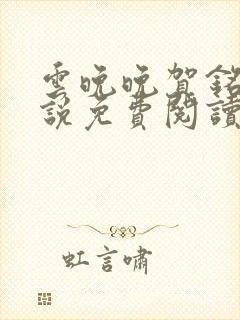 云晚晚贺铭云小说免费阅读封面