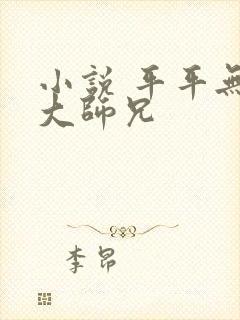 小说 平平无奇大师兄