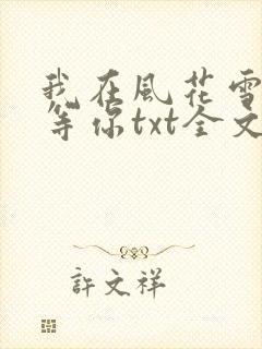 我在风花雪月里等你txt全文下载