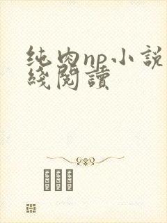 纯肉np小说在线阅读